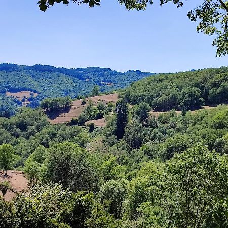 Maison Charmante A Florentin La Capelle Avec Jardin Et Vue Montagne Εξωτερικό φωτογραφία