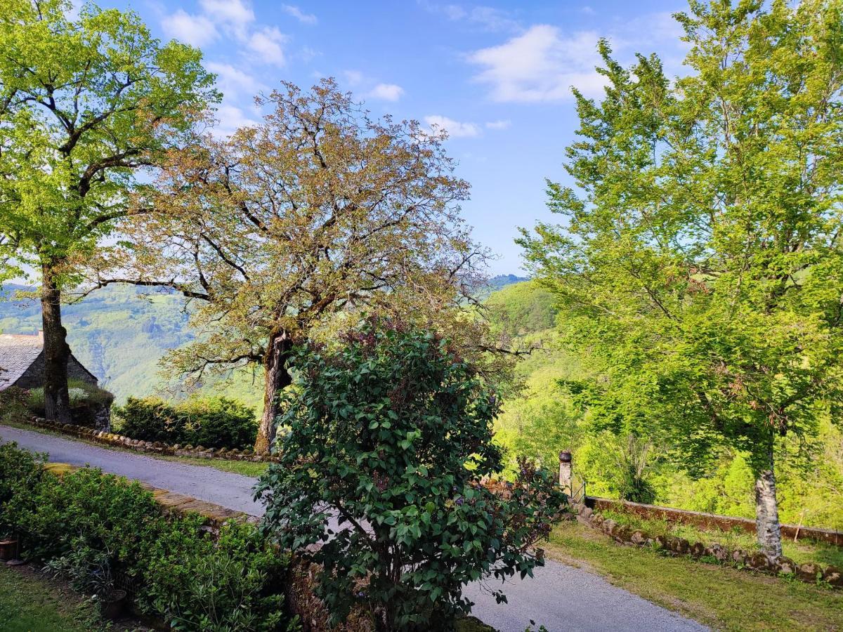 Maison Charmante A Florentin La Capelle Avec Jardin Et Vue Montagne Εξωτερικό φωτογραφία